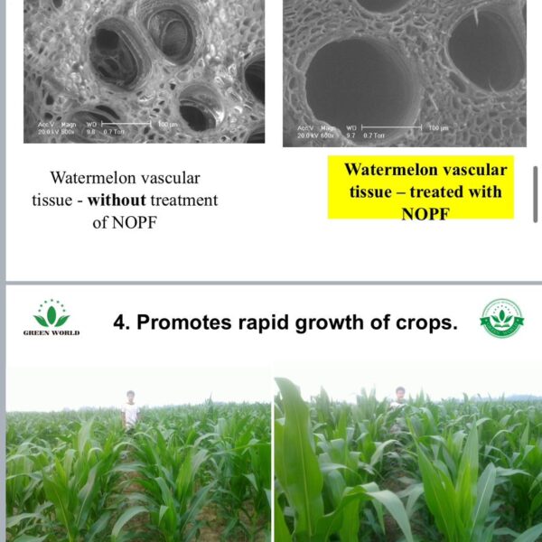 WhatsApp Image 2025-10-07 at 11.02.53 AM (1)