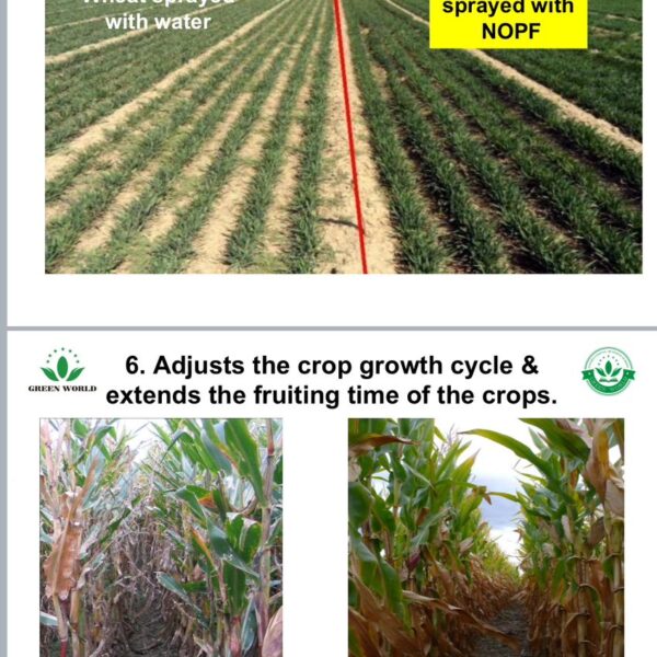 WhatsApp Image 2025-10-07 at 11.02.53 AM (2)