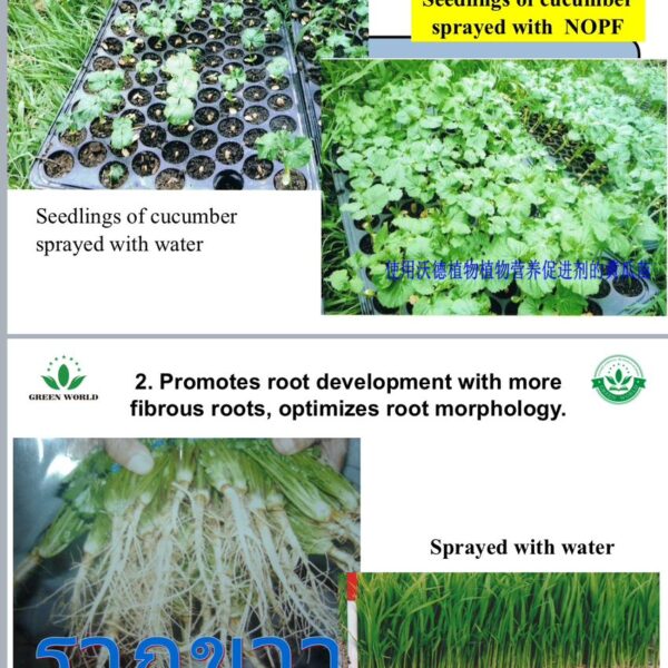 WhatsApp Image 2025-10-07 at 11.02.53 AM