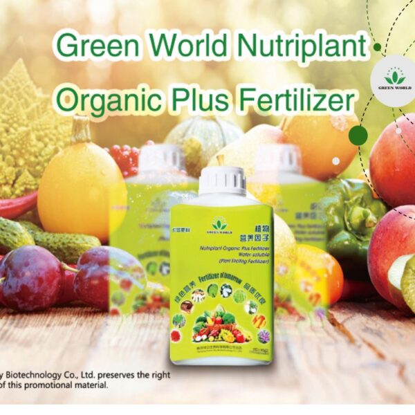 WhatsApp Image 2025-10-07 at 11.02.54 AM